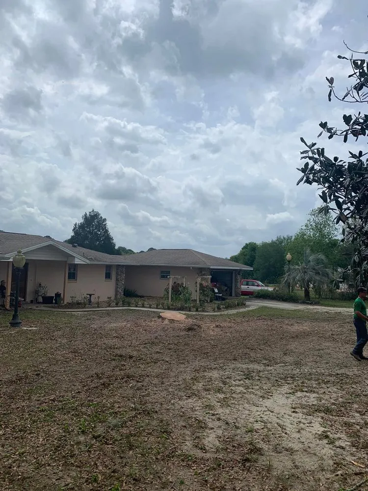 Top-rated residential landscaping experts serving Clermont, FL - Green Fades