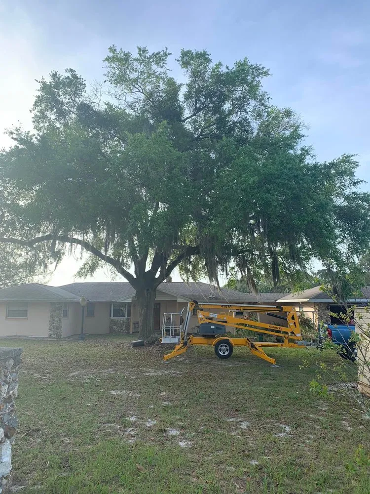 Reliable yard cleanup service experts serving Clermont, FL - Green Fades