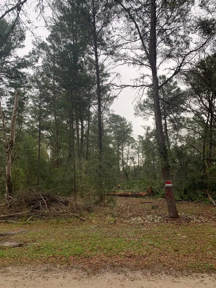 Affordable lawn mowing service in Clermont, FL by Green Fades