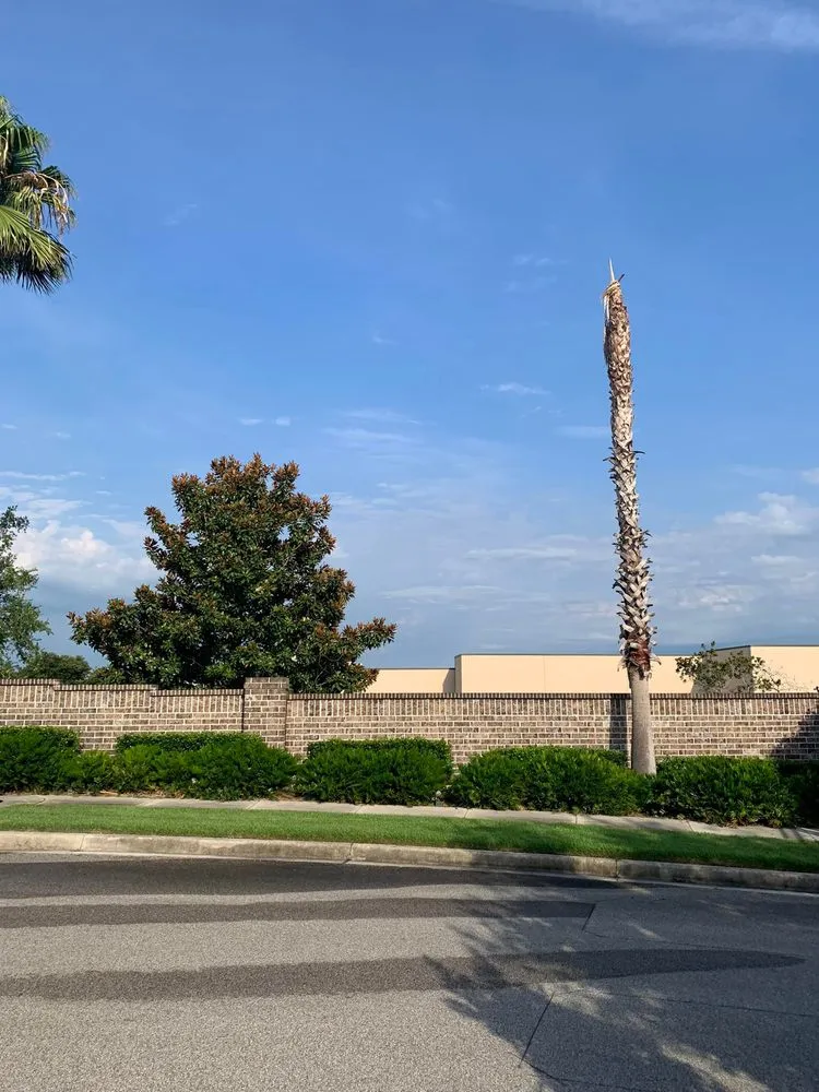 Affordable landscape installation experts serving Clermont, FL - Green Fades