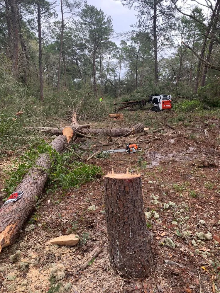 Top-rated landscape installation in Clermont, FL - Green Fades