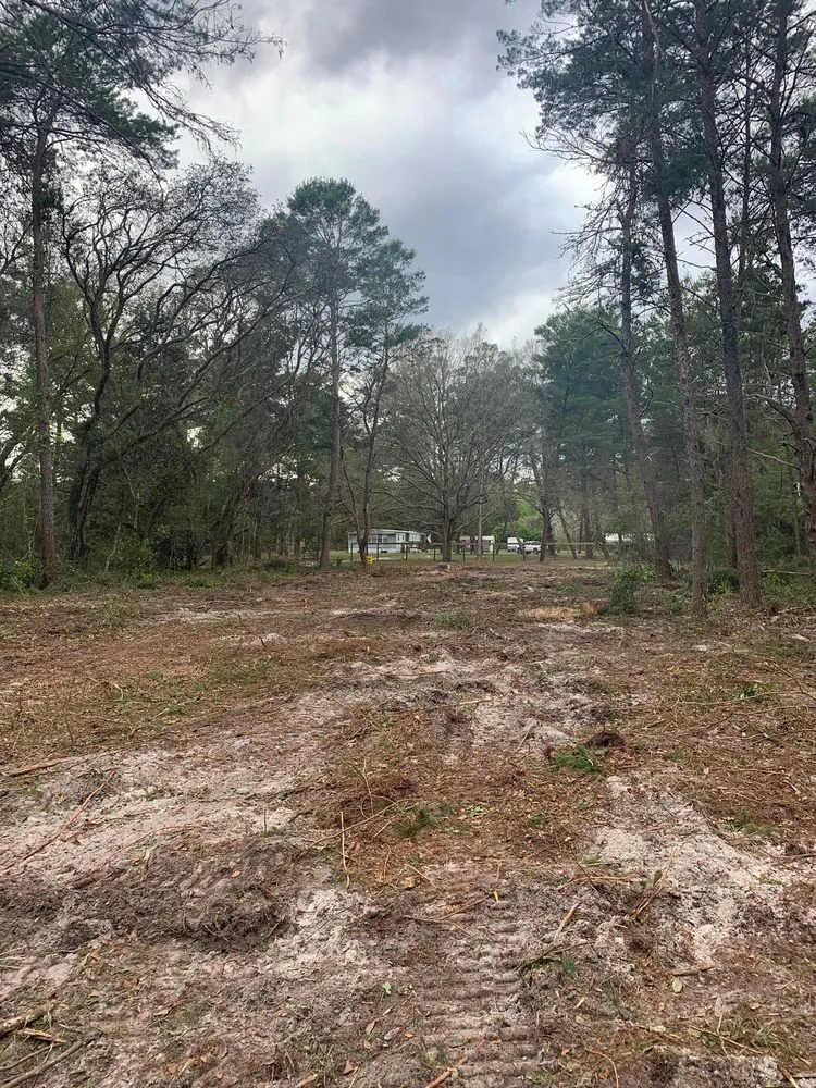 Trusted yard cleanup service for year-round maintenance in Clermont, FL by Green Fades