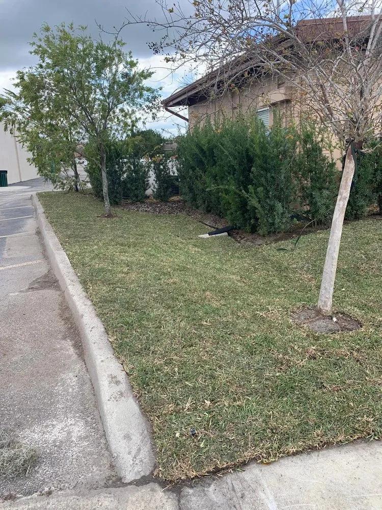 Professional yard maintenance in Clermont, FL - Green Fades