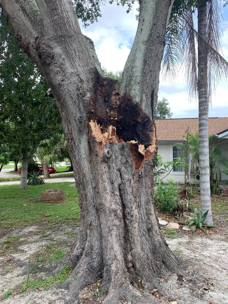 Reliable landscaping services in Clermont, FL - Green Fades