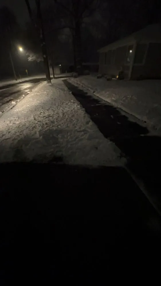 Professional yard cleanup service in Glendale Heights, IL - Green Farm Landscaping