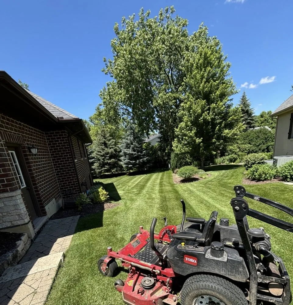 Affordable yard cleanup service in Glendale Heights, IL - Green Farm Landscaping