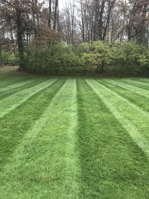 Green Feed Lawn Care