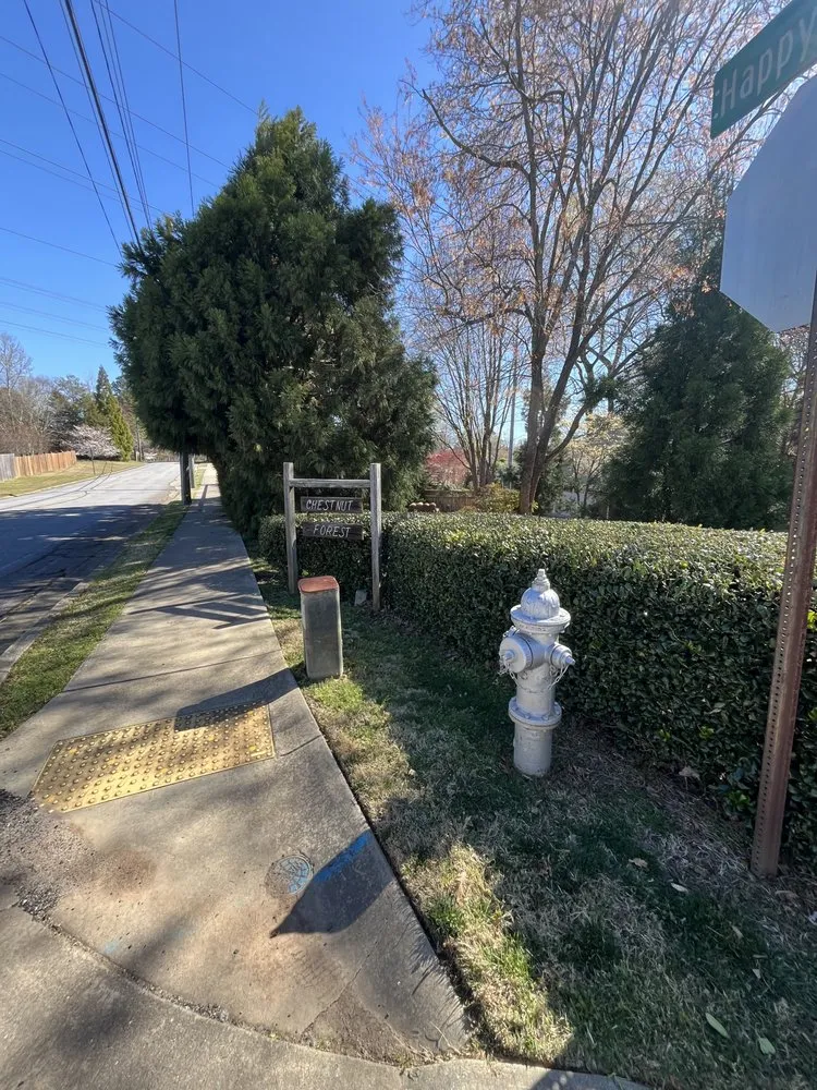 Top-rated garden landscaping in Lawrenceville, GA by Green Fern Landscaping