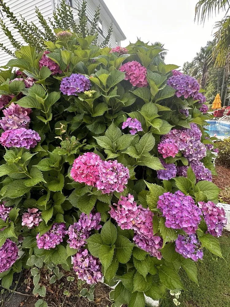 Local garden landscaping for year-round maintenance across Lawrenceville, GA - Green Fern Landscaping