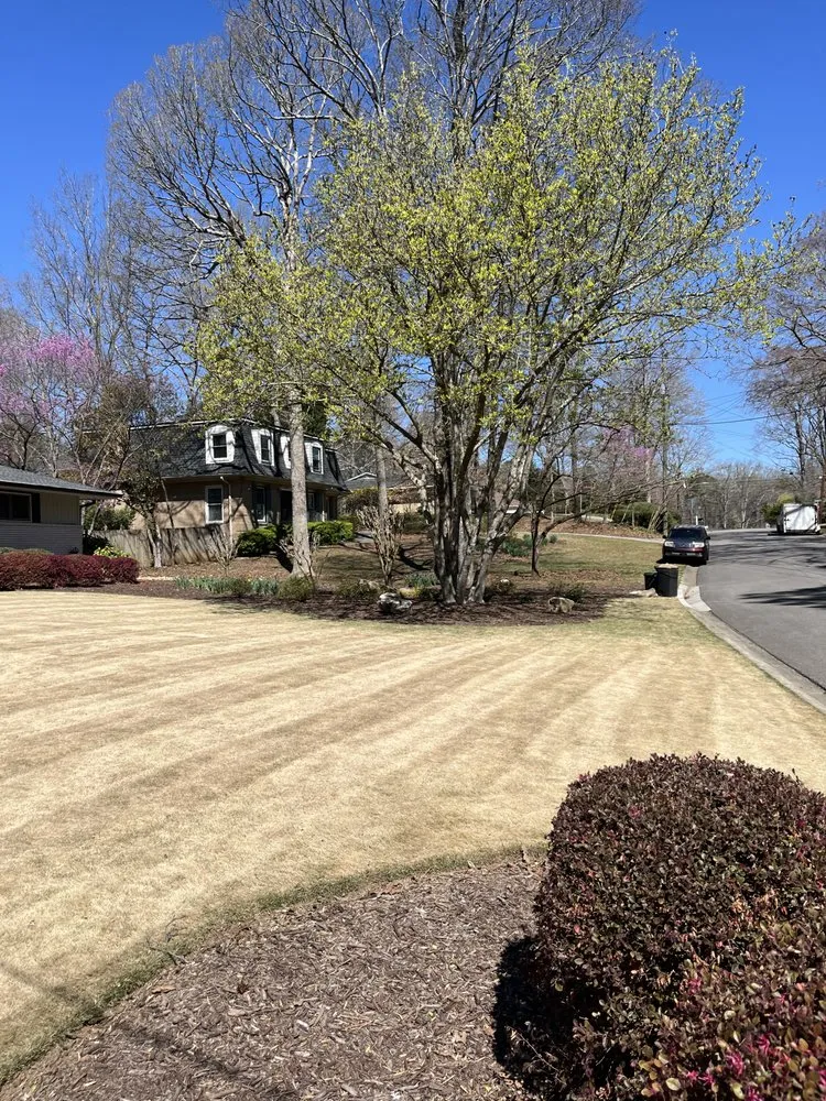 Trusted residential landscaping for year-round maintenance in Lawrenceville, GA by Green Fern Landscaping