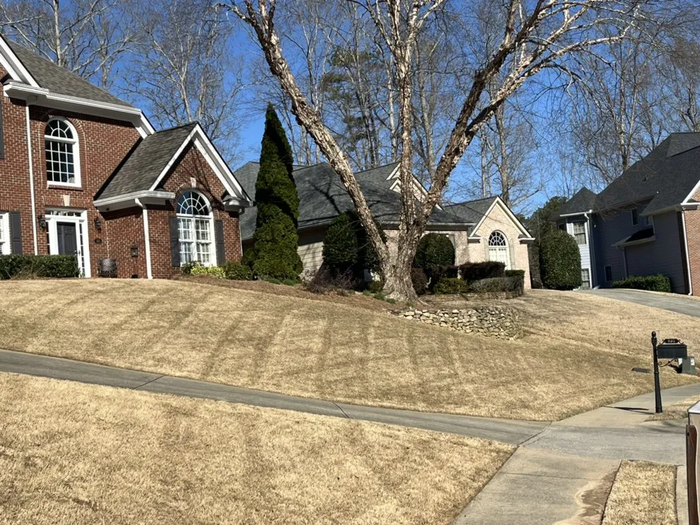 Local lawn care service in Lawrenceville, GA - Green Fern Landscaping