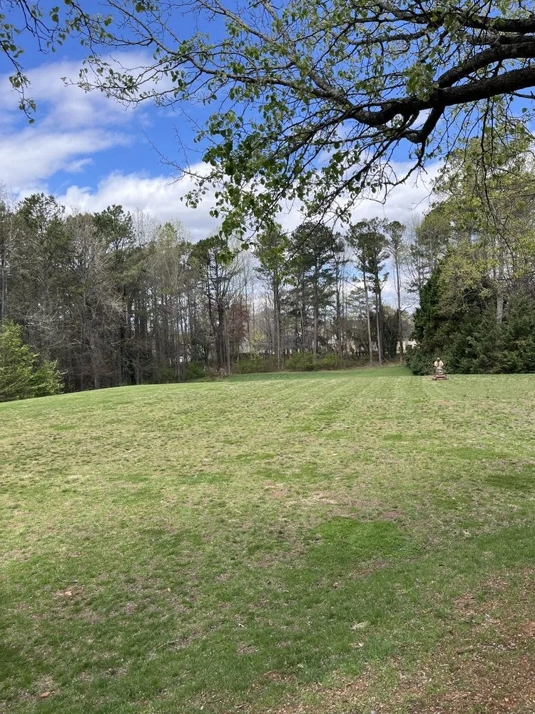 Top-rated yard cleanup service for outdoor upgrades across Lawrenceville, GA - Green Fern Landscaping