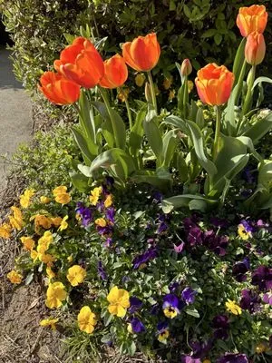 Green Fern Landscaping