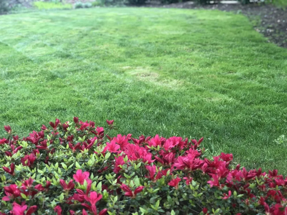 Local lawn mowing service experts serving Gervais, OR - Green Field Landscape Maintenance