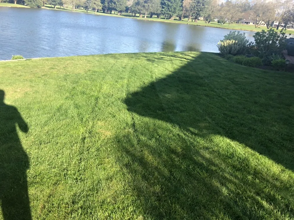 Local landscape design for beautiful yards in Gervais, OR by Green Field Landscape Maintenance