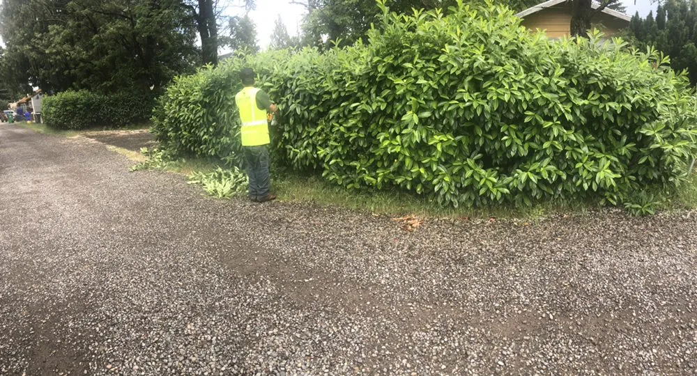 Affordable yard maintenance in Gervais, OR - Green Field Landscape Maintenance