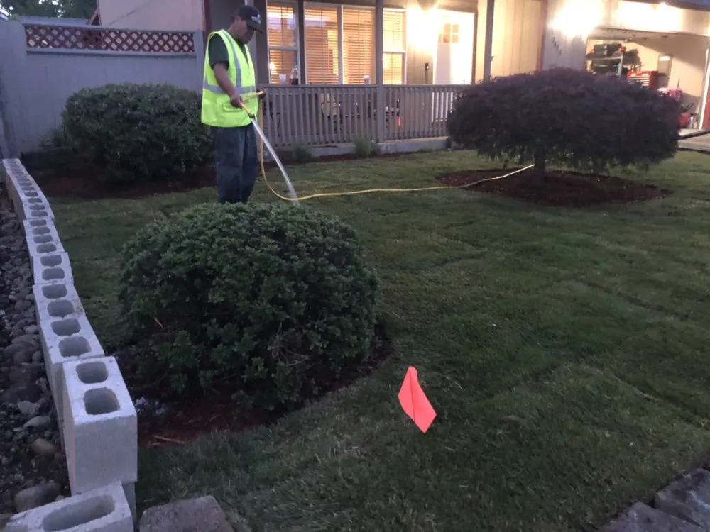 Affordable lawn care service in Gervais, OR - Green Field Landscape Maintenance