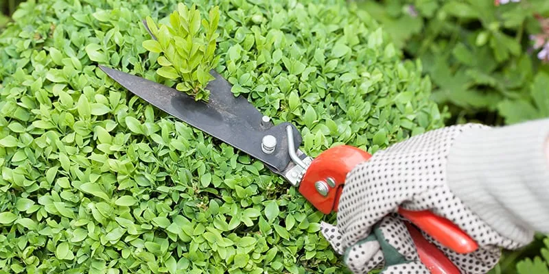 Custom garden landscaping for homes across San Antonio, TX - Green Fields Landscape Company