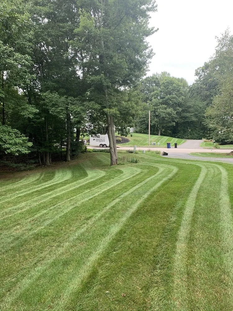 Top-rated yard maintenance for beautiful yards in Sharon, MA by Green Fields Landscaping