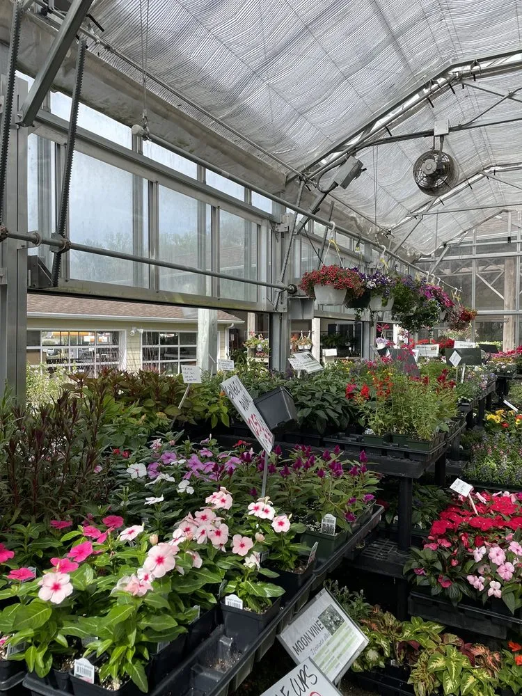 Professional garden landscaping in Baltimore, MD - Green Fields Nursery
