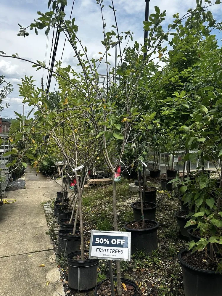 Expert landscaping services experts serving Baltimore, MD - Green Fields Nursery