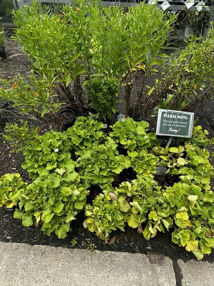 Reliable outdoor landscaping in Baltimore, MD by Green Fields Nursery