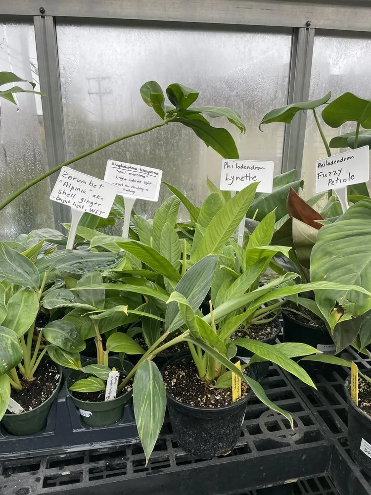 Reliable lawn mowing service for beautiful yards across Baltimore, MD - Green Fields Nursery