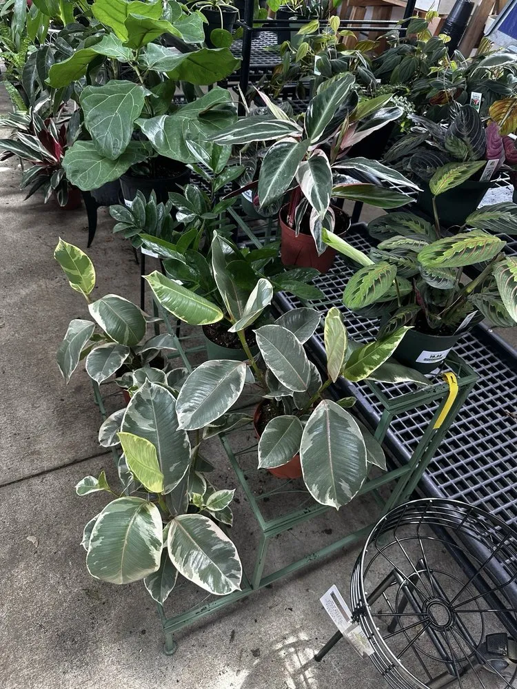 Trusted landscaping services for outdoor upgrades in Baltimore, MD by Green Fields Nursery