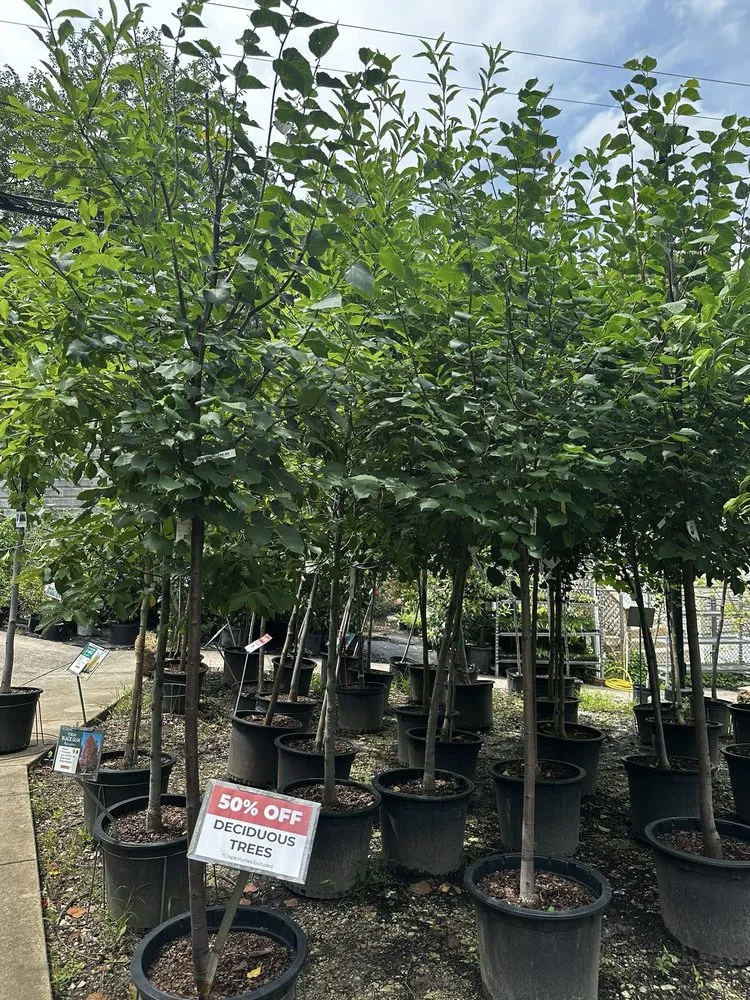 Custom landscape installation experts serving Baltimore, MD - Green Fields Nursery