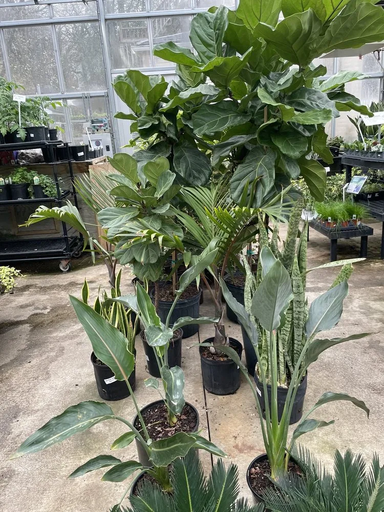 Trusted landscape design for year-round maintenance in Baltimore, MD by Green Fields Nursery