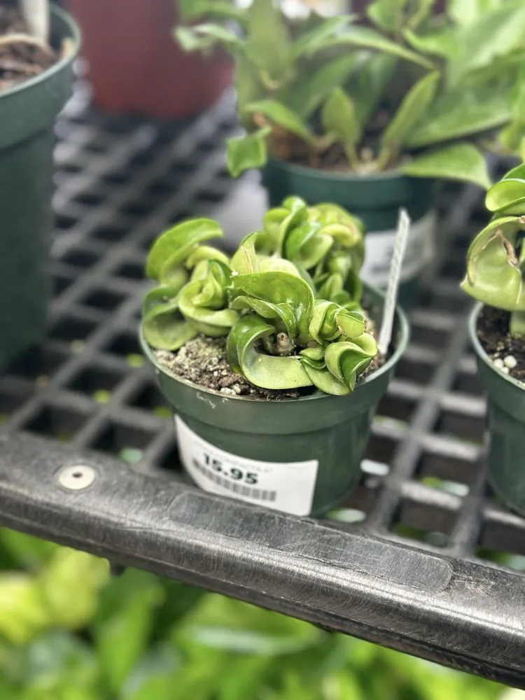 Top-rated yard maintenance for residential properties in Baltimore, MD by Green Fields Nursery