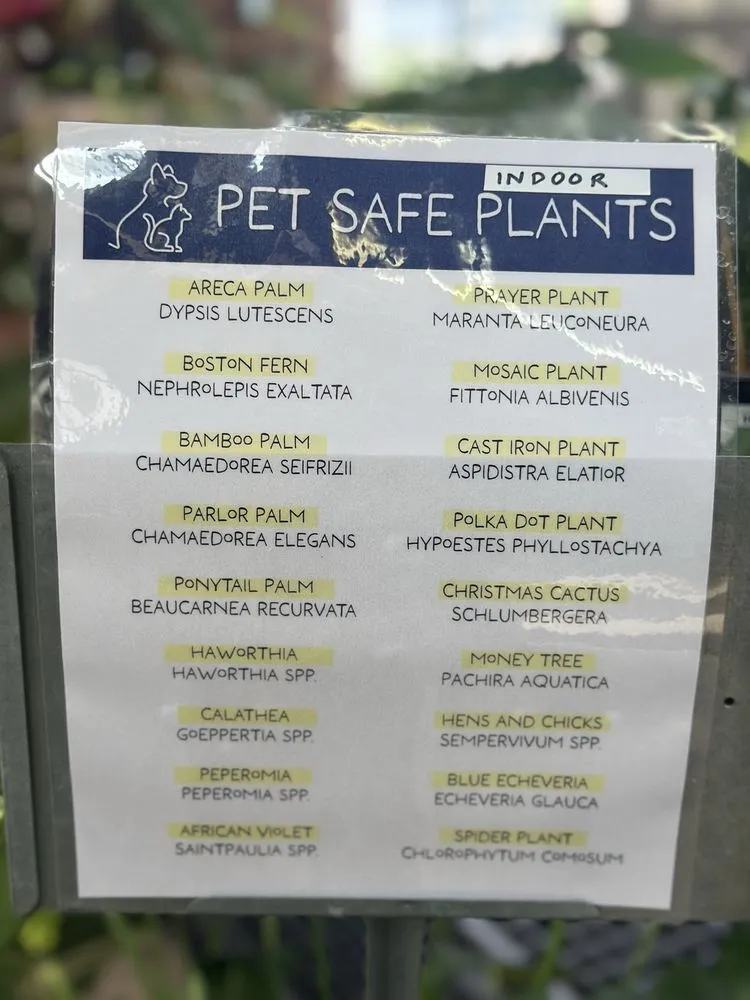 Local yard maintenance in Baltimore, MD - Green Fields Nursery