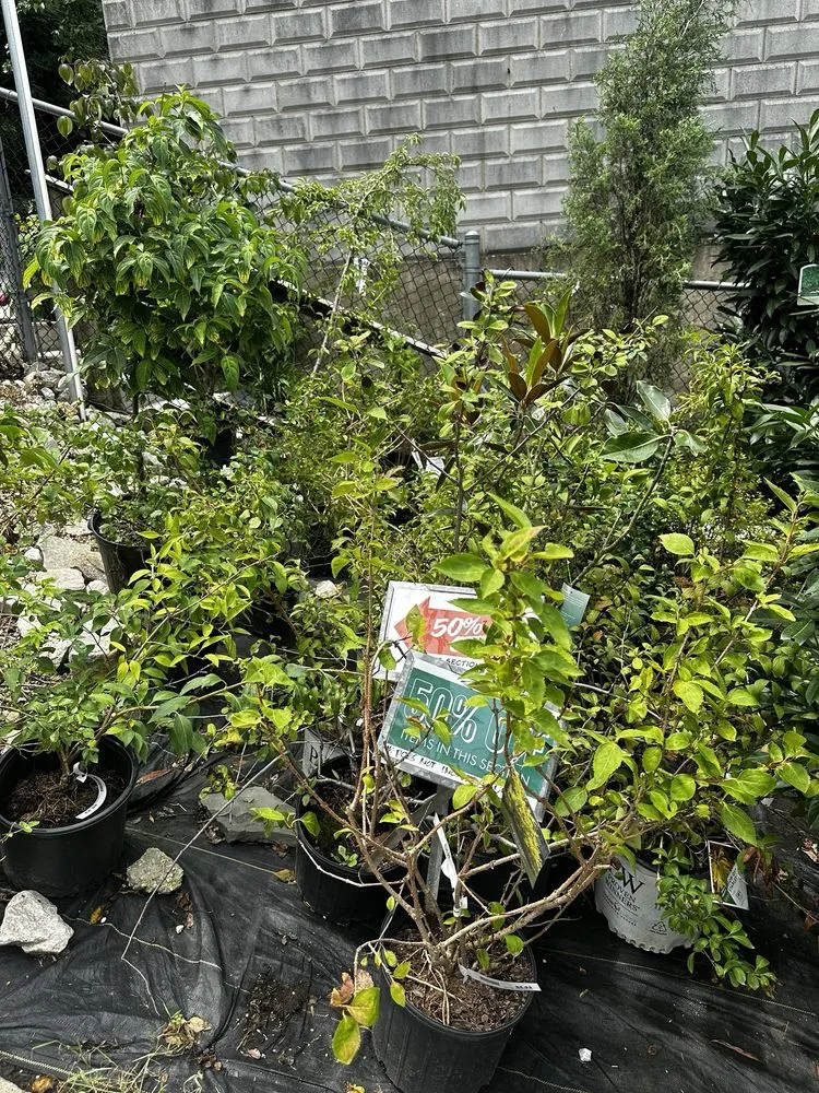 Expert landscaping services experts serving Baltimore, MD - Green Fields Nursery