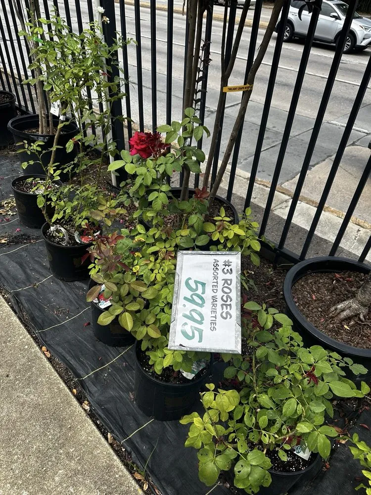 Top-rated lawn care service with custom design in Baltimore, MD by Green Fields Nursery