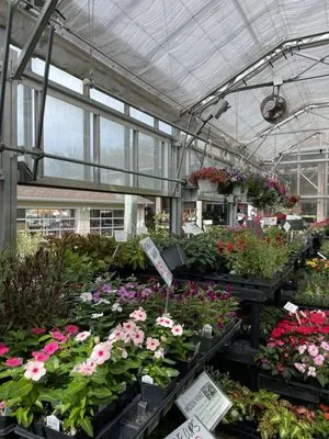 Green Fields Nursery