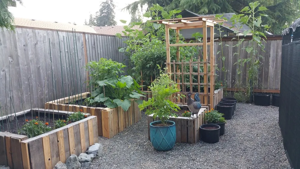 Custom landscaping services for year-round maintenance in Auburn, WA by Green Flare Landscaping