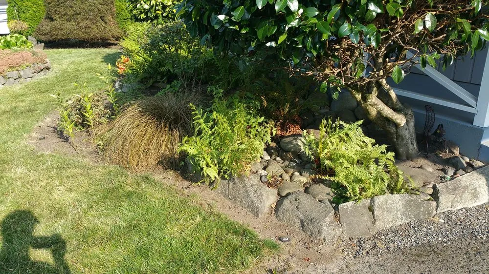 Professional landscaping services in Auburn, WA by Green Flare Landscaping