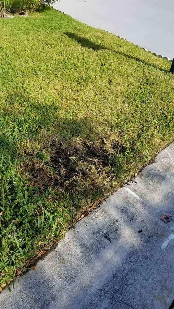 Trusted outdoor landscaping in Pompano Beach, FL by Green Florida Landscaping