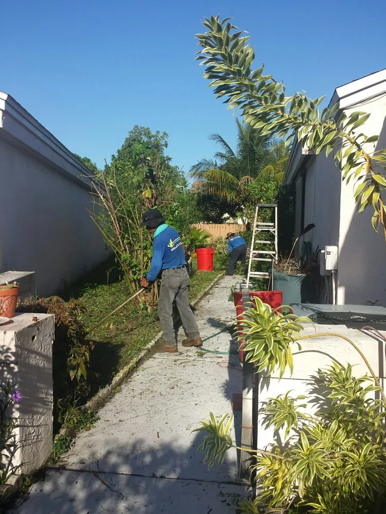 Top-rated landscaping services for residential properties across Pompano Beach, FL - Green Florida Landscaping