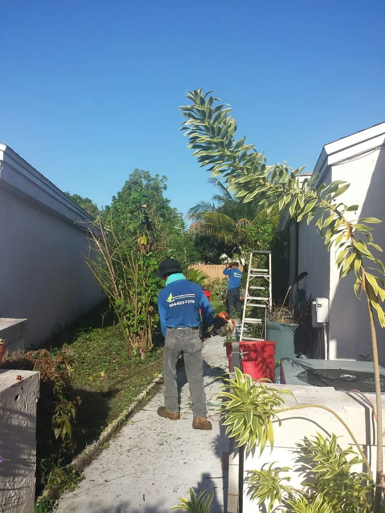 Custom landscape design experts serving Pompano Beach, FL - Green Florida Landscaping