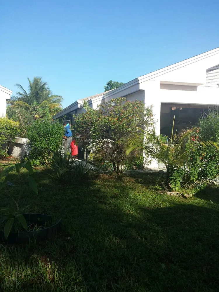 Professional outdoor landscaping for beautiful yards in Pompano Beach, FL by Green Florida Landscaping