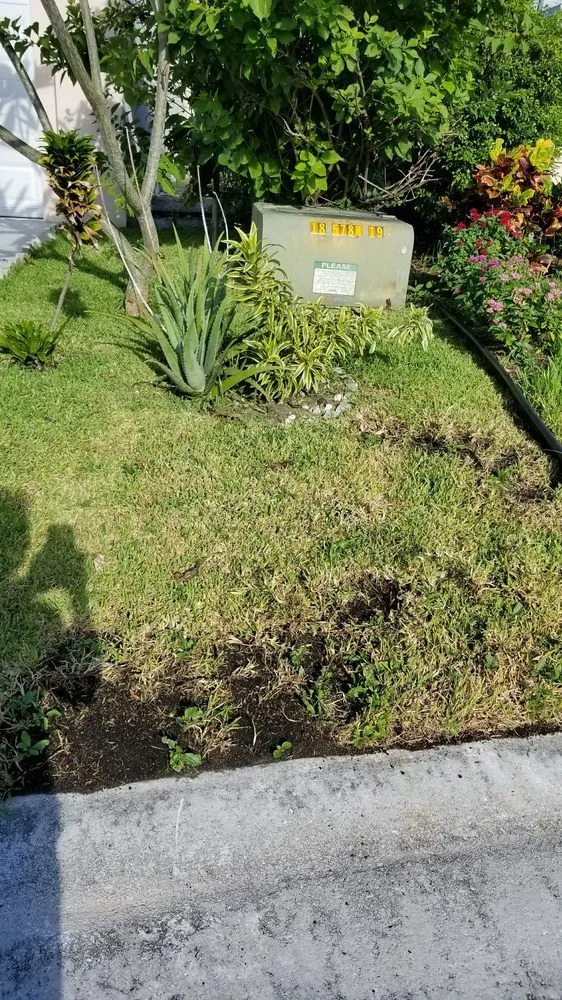 Professional landscaping services in Pompano Beach, FL by Green Florida Landscaping