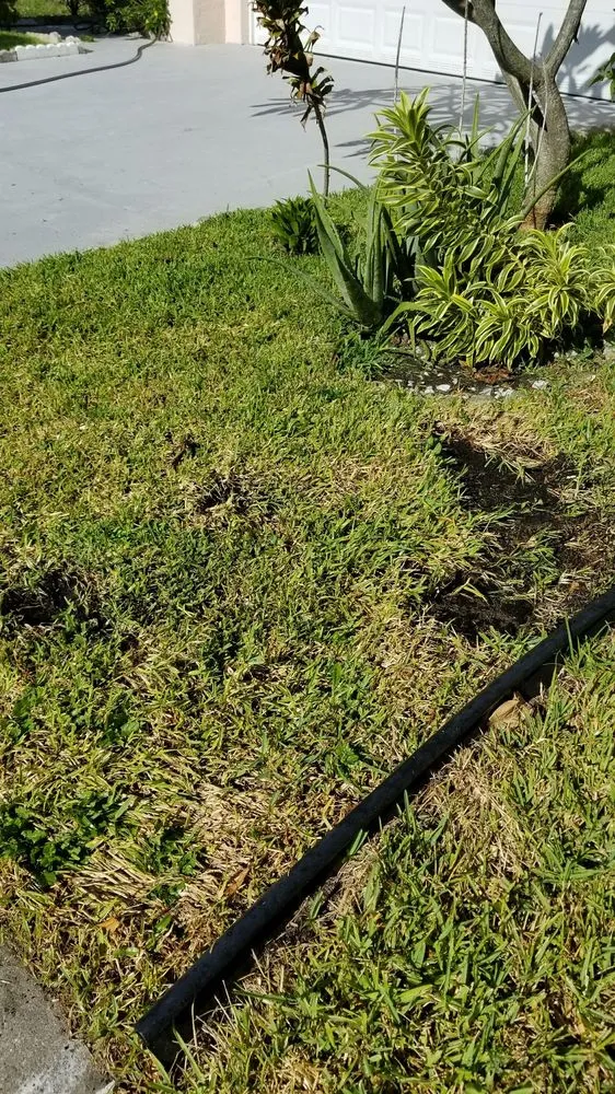 Reliable garden landscaping for residential properties across Pompano Beach, FL - Green Florida Landscaping