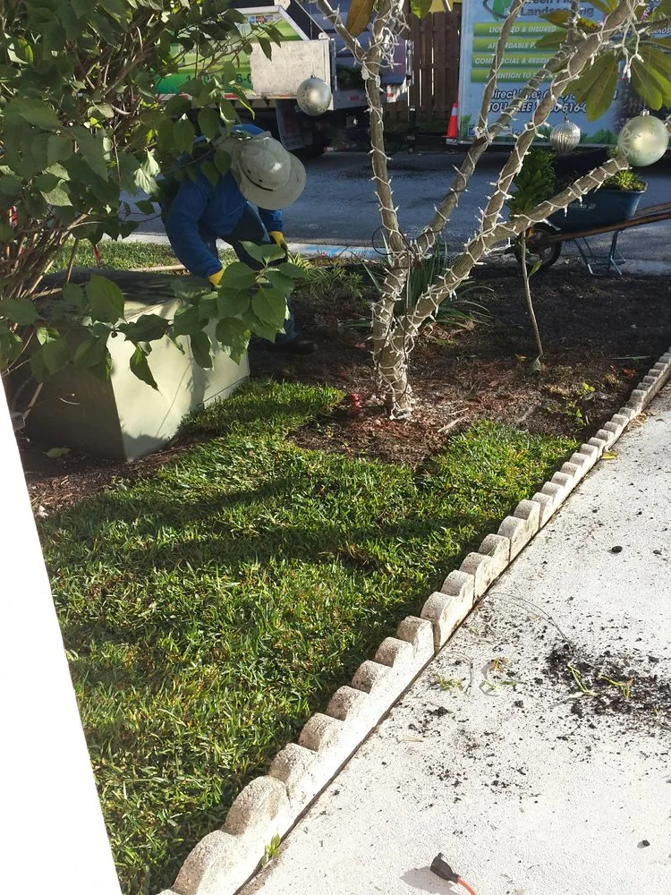 Expert outdoor landscaping in Pompano Beach, FL - Green Florida Landscaping