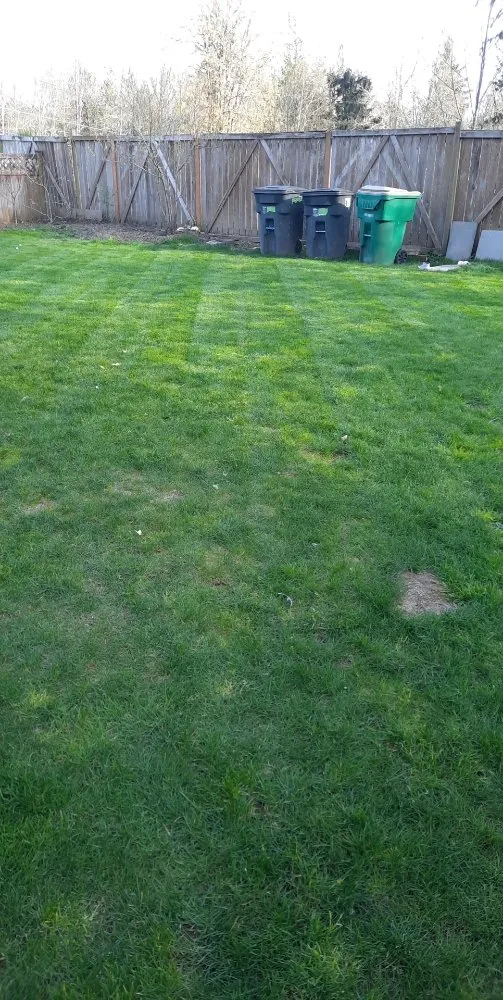 Local landscaping services for outdoor upgrades across Belfair, WA - Green Flowers Landscaping