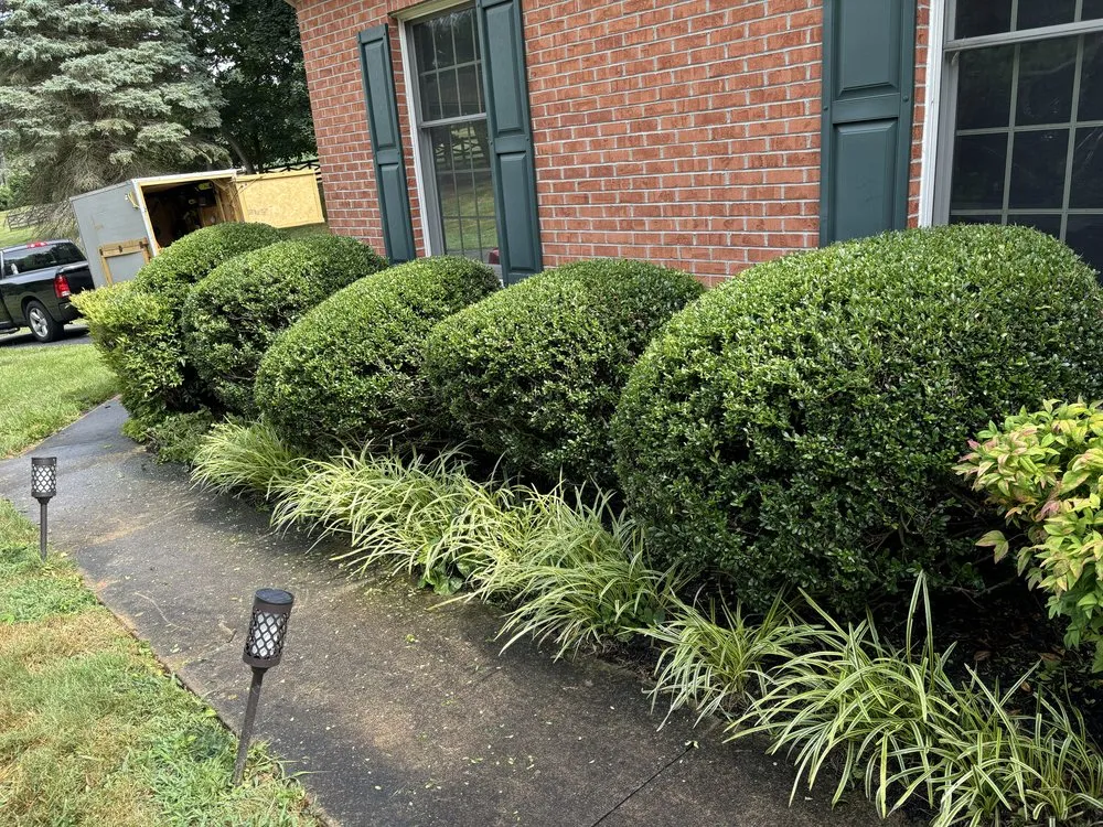 Trusted yard maintenance near you across Lutherville, MD - Green Foot Yardscaping