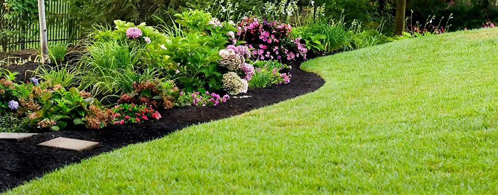 Expert lawn care service in Louisville, KY - Green For Less Landscaping & Lawn Care Service