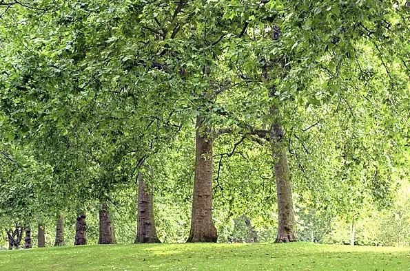 Reliable garden landscaping in Louisville, KY by Green For Less Landscaping & Lawn Care Service