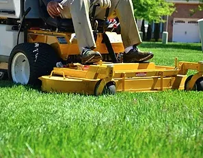Expert landscaping services experts serving Louisville, KY - Green For Less Landscaping & Lawn Care Service