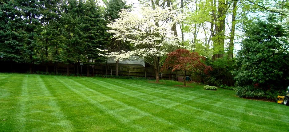 Local landscape design in Louisville, KY - Green For Less Landscaping & Lawn Care Service